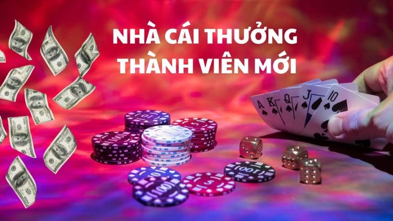 su-chuyen-nghiep-va-bao-mat